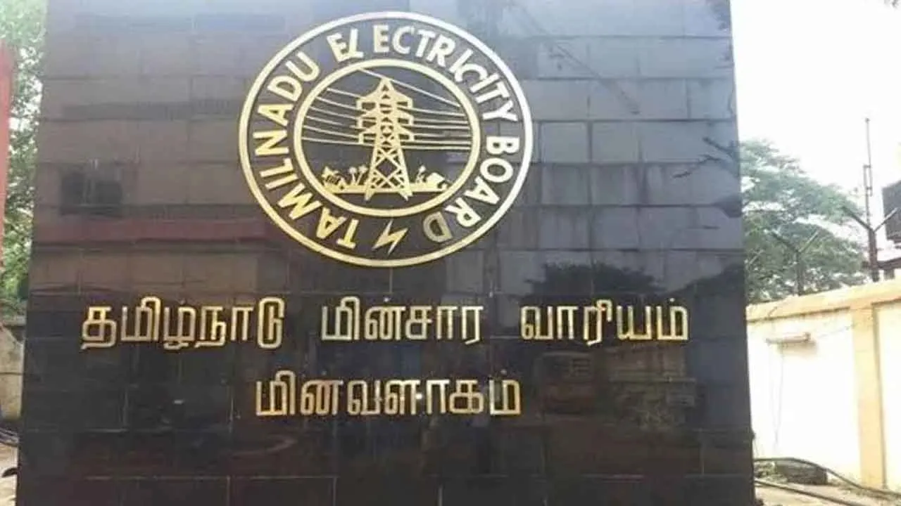  “மின் விபத்துகளைத் தடுக்க தீவிர நடவடிக்கை” - மின்சார வாரியம் தகவல்!