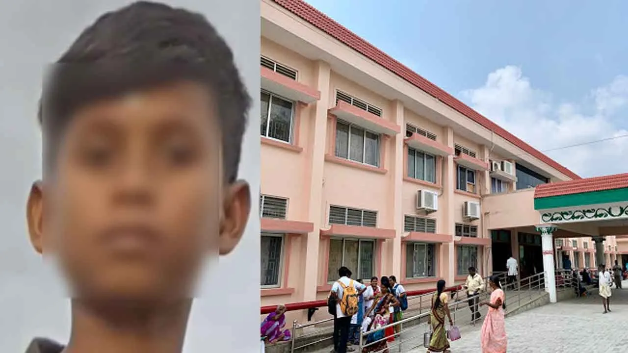  Boy lose their live after being bitten by a poisonous insect Photograph: (vellore) 