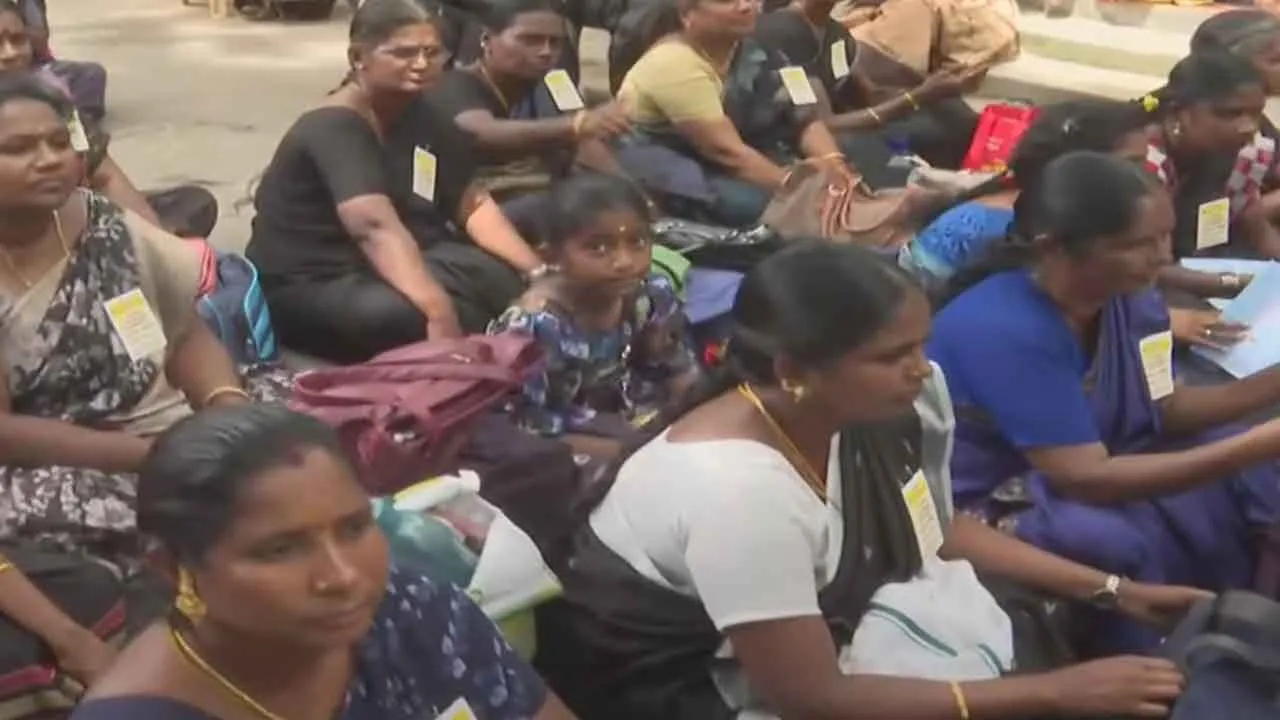  Nutritional food workers protest in Chennai's Ezhilakam Photograph: (chennai) 