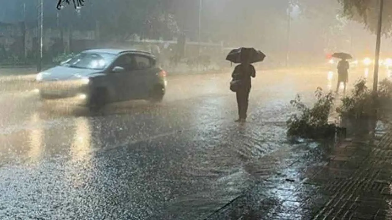  Very heavy rain alert for Nilgiris Photograph: (nilgiri) 