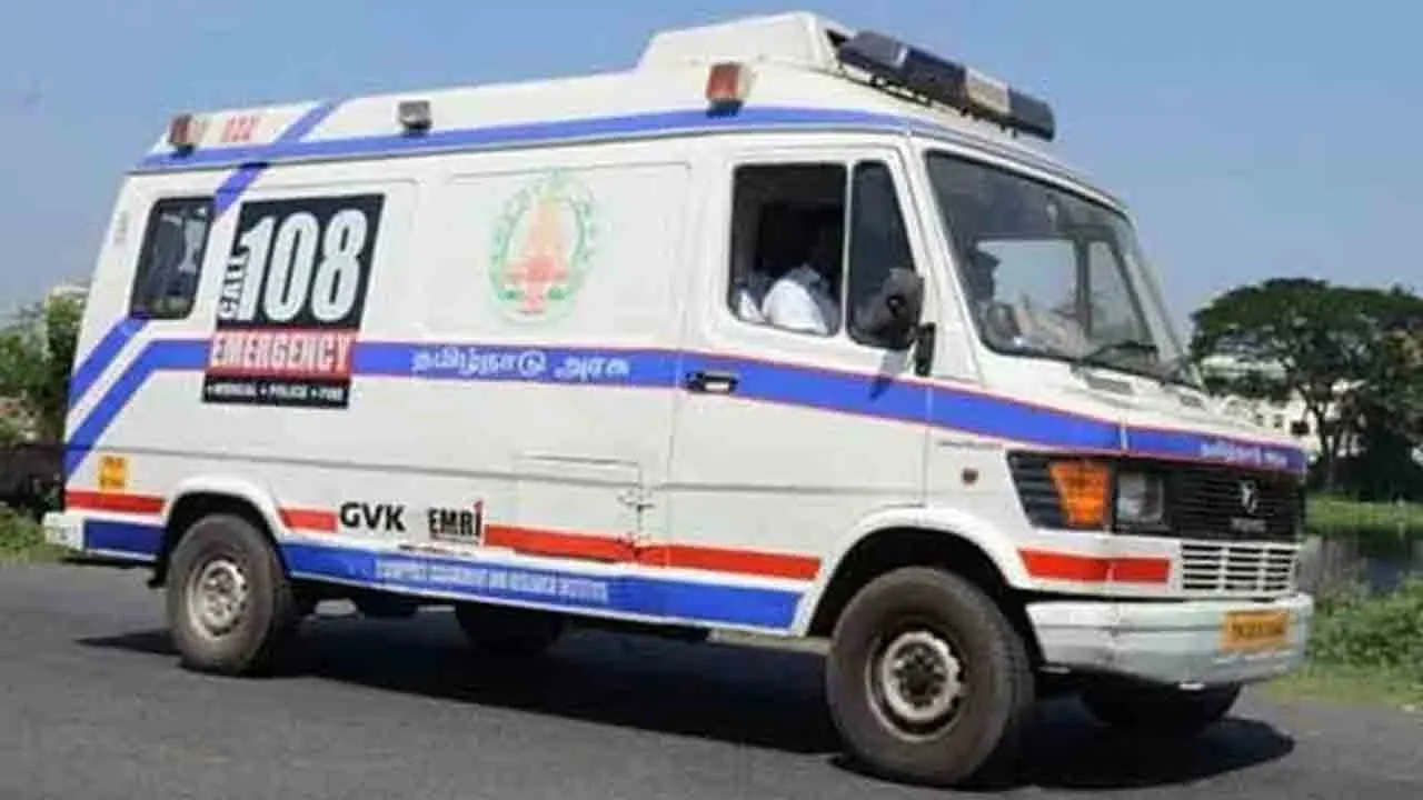  Child, dog loss in electric wire  by cutting down tree without safety precautions in vellore 