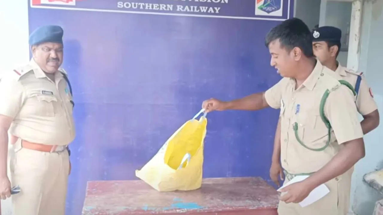  A sand snake was caught at a railway station. Photograph: (police) 