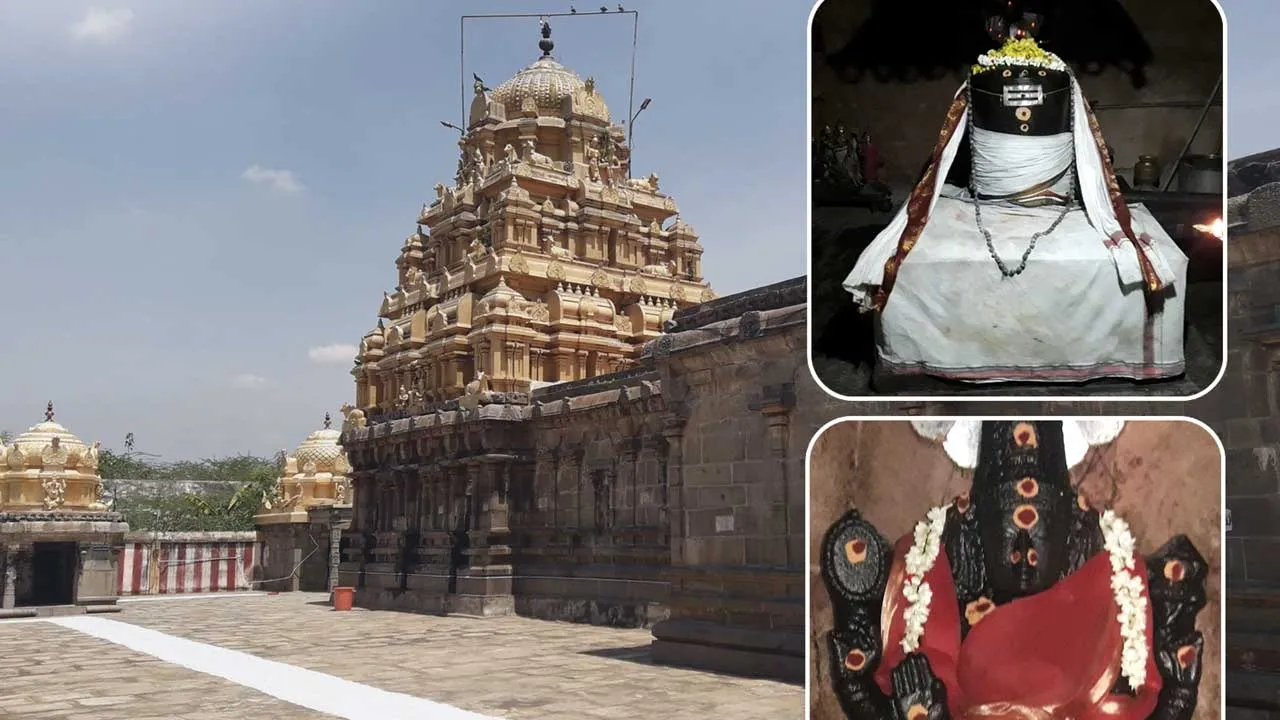  கார்க்கோடகன் வழிபட்ட காமரசவல்லி ! - மோ கணேஷ்