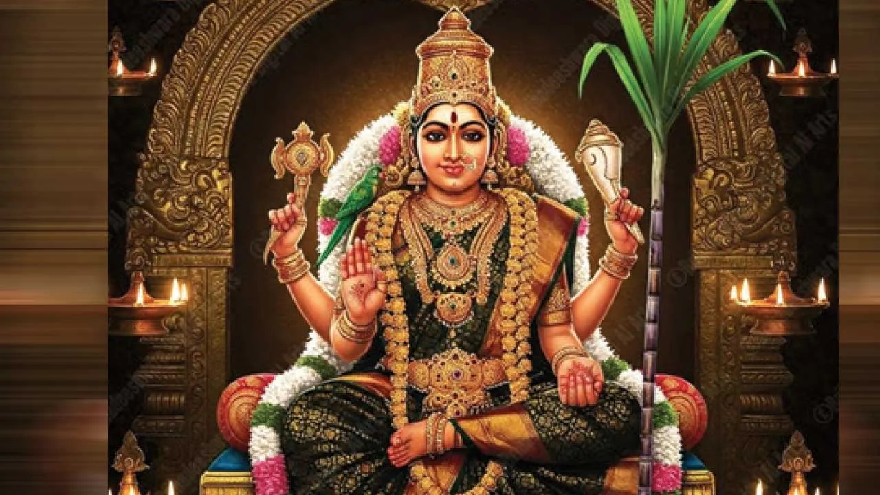  மனச் சிக்கல்கள் தீர்க்கும் மலர் மருந்து 14 மேல்மருவத்தூர் எஸ். கலைவாணி