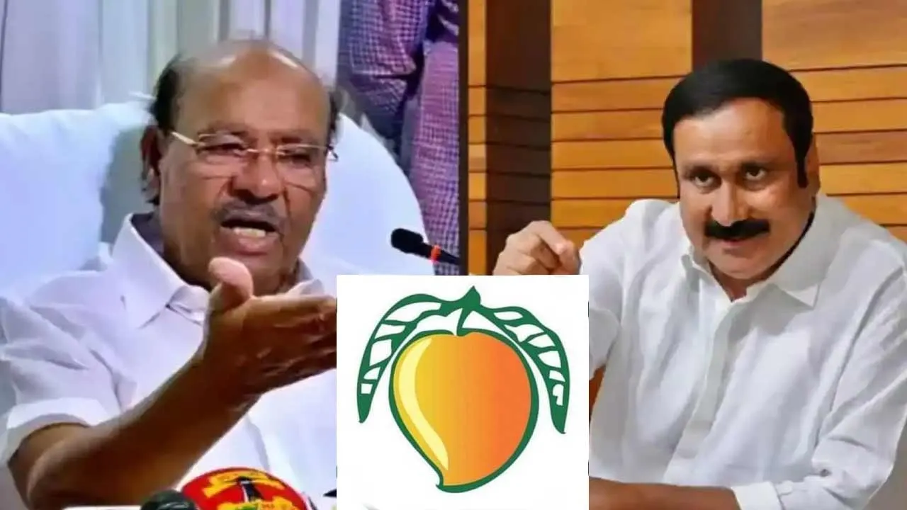  'If you want to get mangoes through a roundabout way...' - Ramadoss seeks court Photograph: (PMK) 