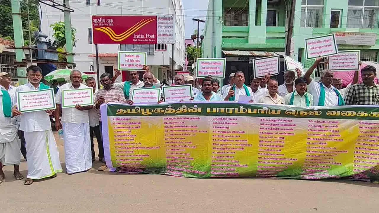  மரபணு மாற்றப்பட்ட நெல் ரகங்களுக்கு எதிர்ப்பு; விவசாயிகள் ஆர்ப்பாட்டம்