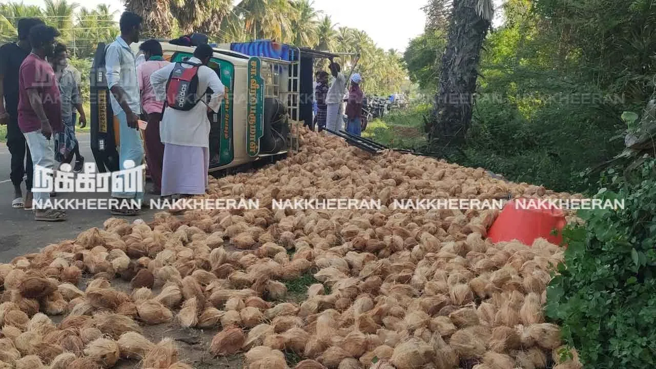  சாலையின் குறுக்கே வந்த மாடு; வாகனம் கவிழ்ந்து சிறுமி உள்பட இருவர் காயம்!