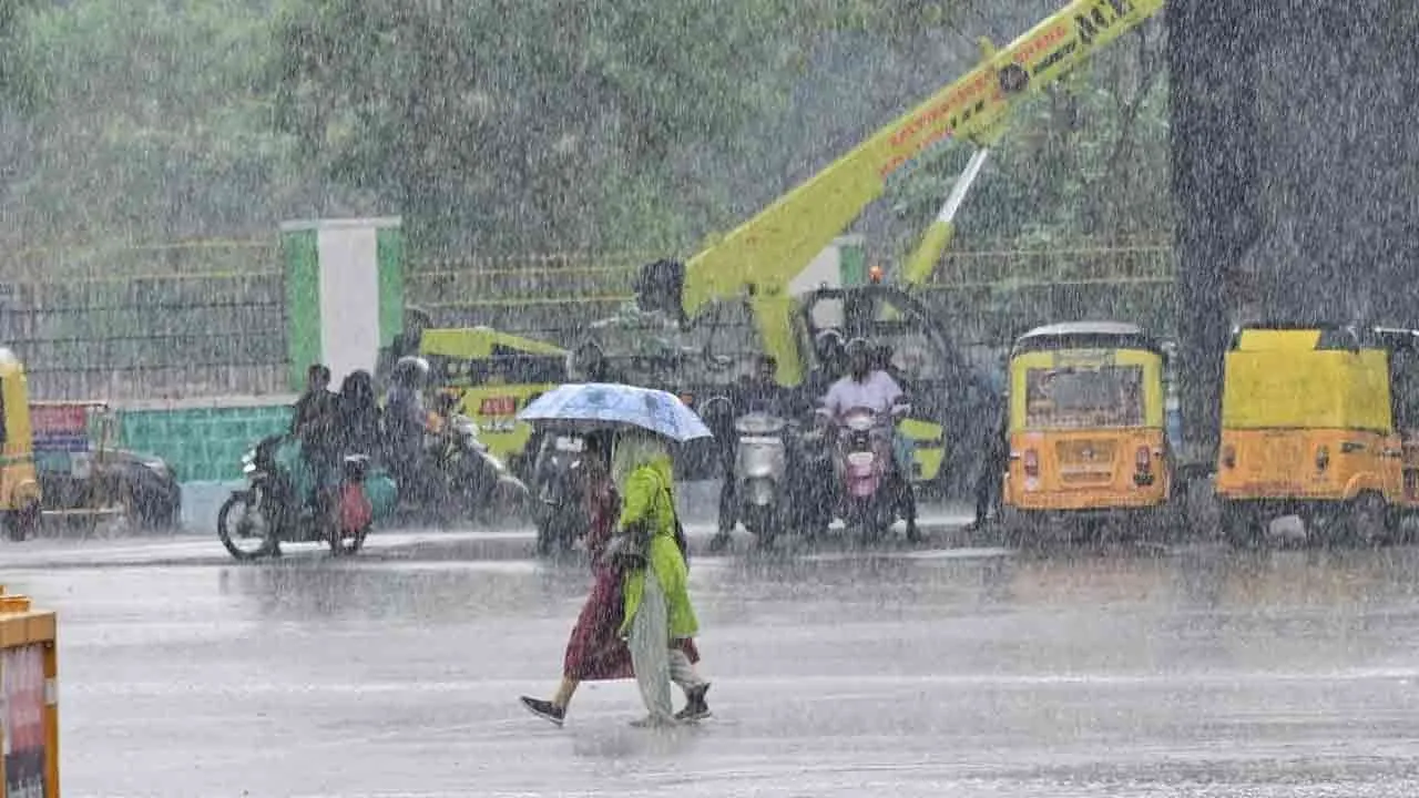  Rain alert for 30 districts Photograph: (rain) 