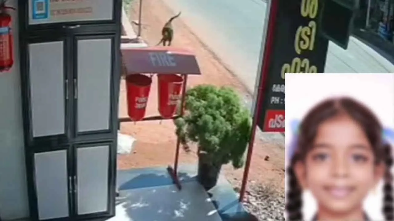  A 12-year-old girl lost her life in an accident caused by a stray dog ​​that came across her. Photograph: (kerala) 