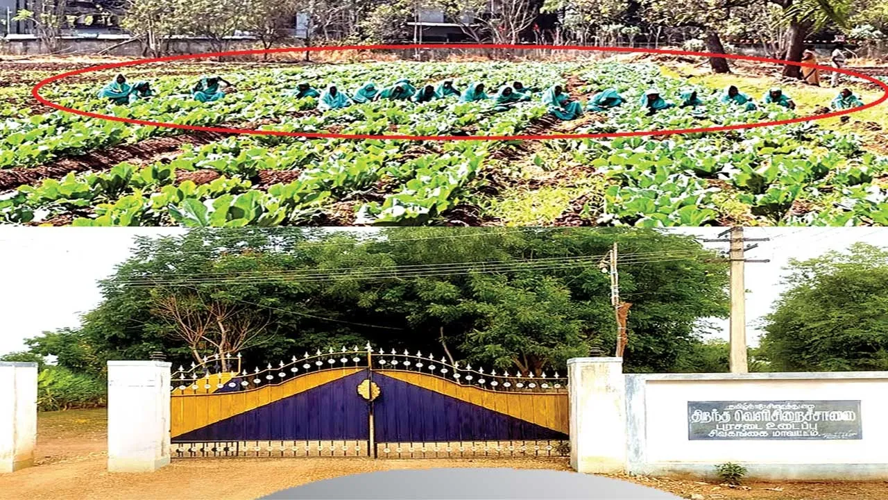  JAIL FOLLOW UP  27  தமிழகச் சிறைகளில் ரூ.500 கோடி ஊழல்! கைதிகளைச் சீர்திருத்துவதில் குடும்பத்தினரின் பங்களிப்பு!