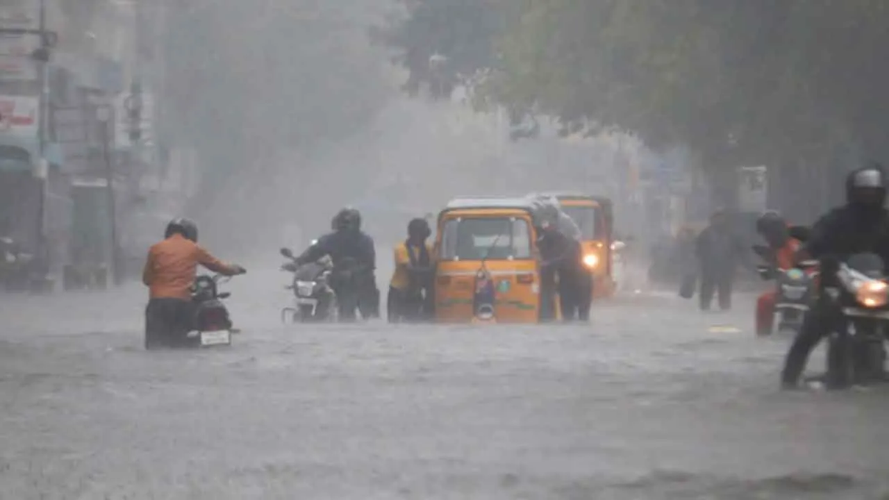  Heavy rain continues - schools closed in only one district Photograph: (kanyakumari) 