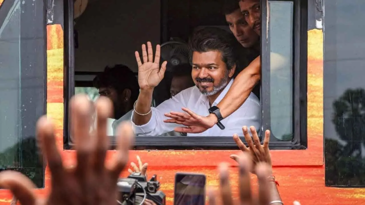  'Didn't Vijay know that such a large crowd would come?' - Court questions Photograph: (tvk) 