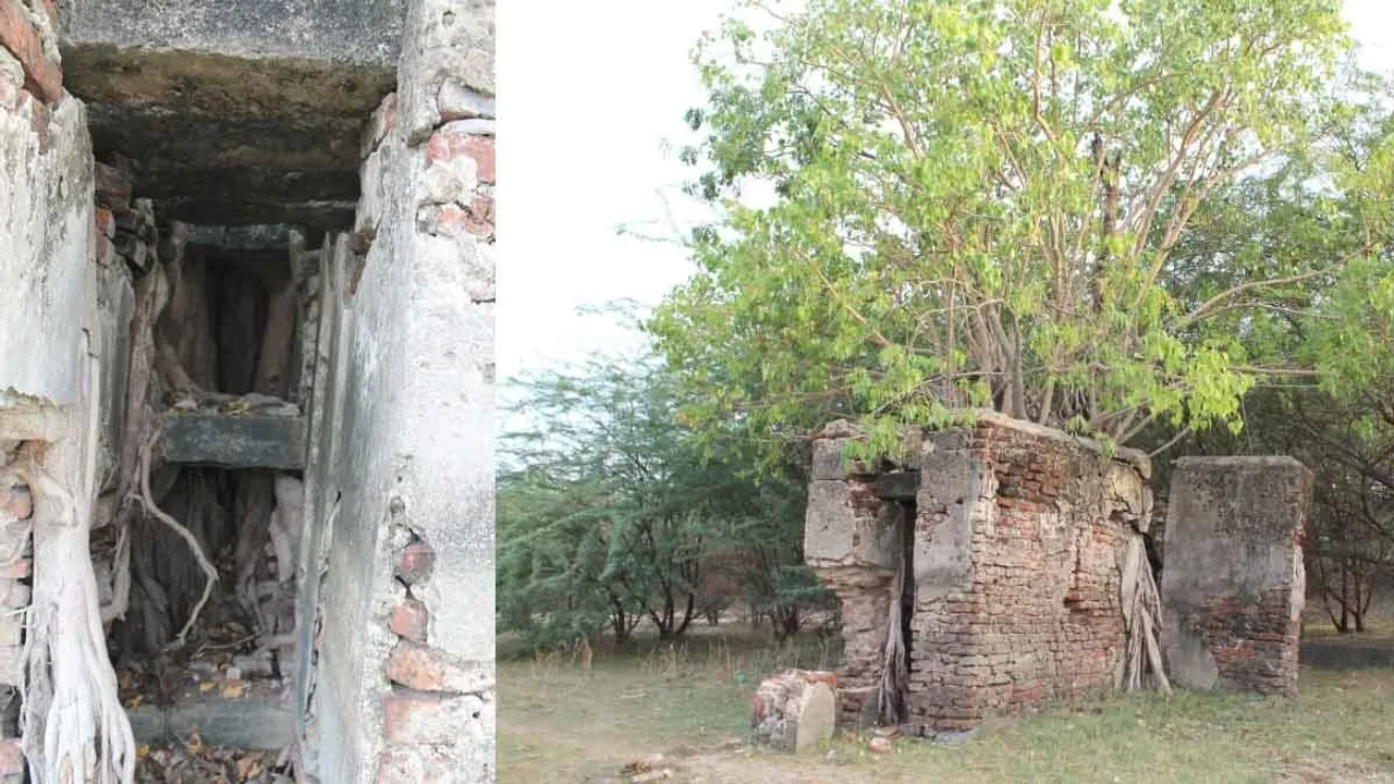 Request to protect the 'Madaichi Saathai' temple, which saved the village by giving its life! Photograph: (ramanathapuram) 
