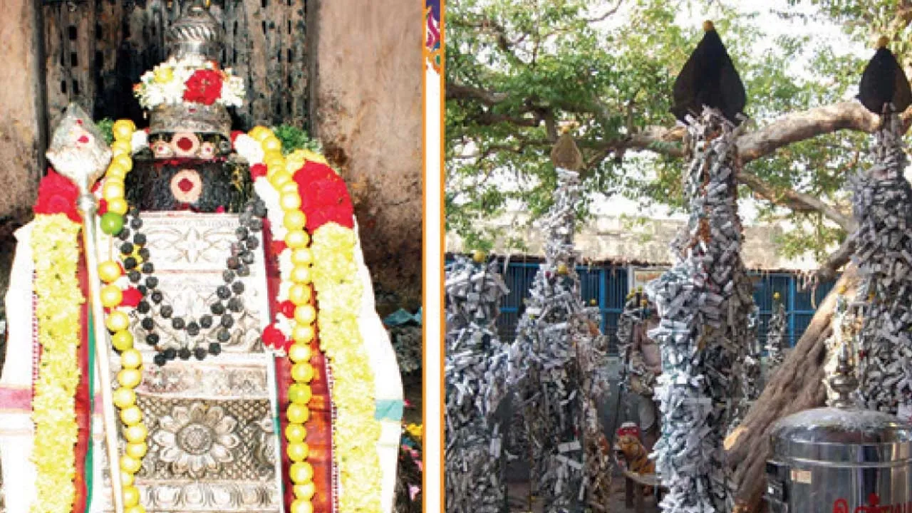  பக்தர்களின்  துயர் தீர்க்கும் நீதிமான் கொளஞ்சியப்பர் !