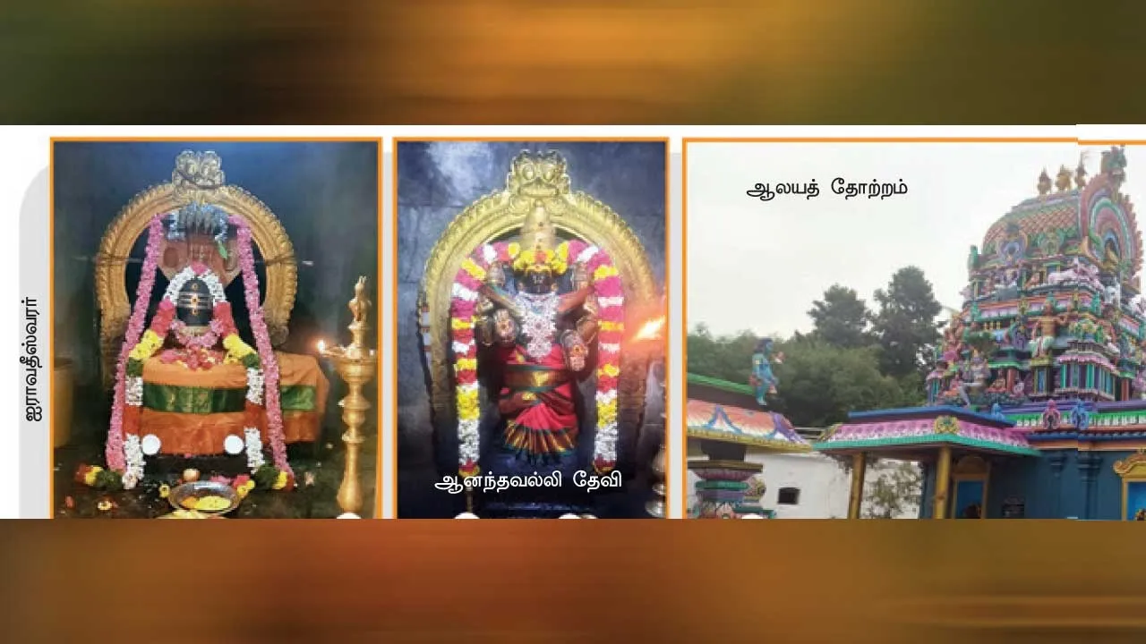  ஐஸ்வர்யம் தரும் ஐராவதீஸ்வரர் சிவா ஸ்தலம்! -குமார சிவாச்சாரியார்