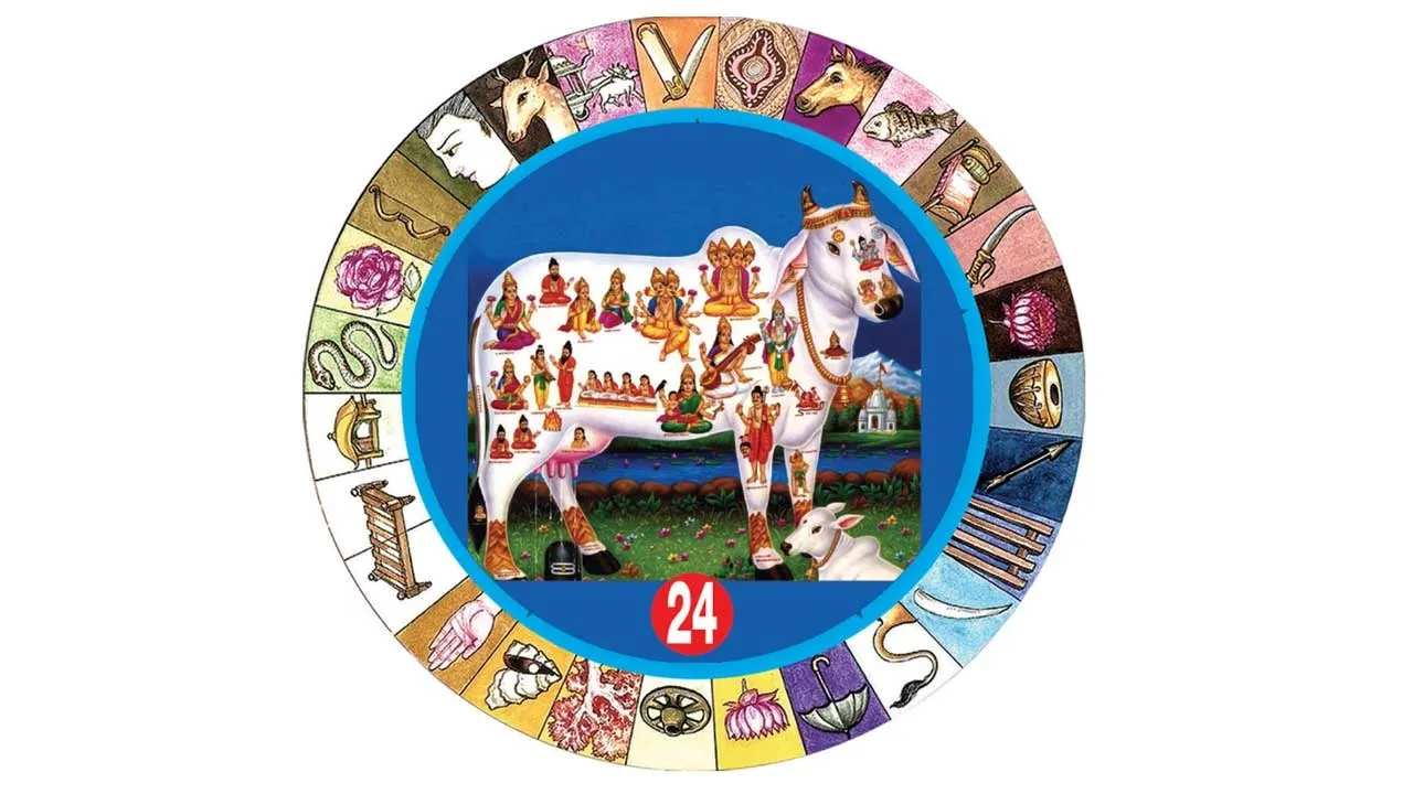  நலம் தரும் நட்சத்திரம் 24