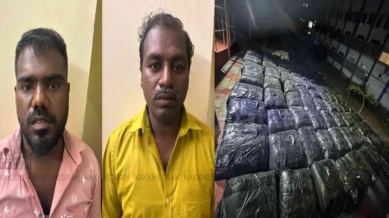  Q Division officers take action against bidi leaves trying to smuggle them to Sri Lanka 