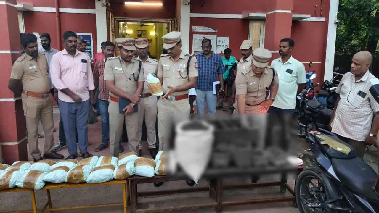  கடலூர் மாவட்டத்தில் ஒரே நாளில் 42 கிலோ கஞ்சா பறிமுதல்; 27 பேர் கைது!