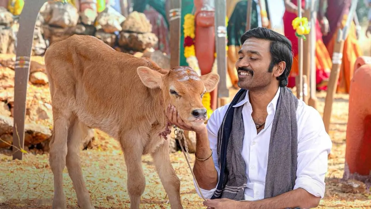  “இப்படி ஒரு வாழ்வியலை...” - ‘இட்லி கடை’ படத்திற்கு அரசியல் கட்சி தலைவர் வாழ்த்து