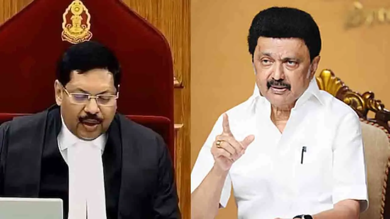  'Attempted attack on judge; shameful act' - MK Stalin strongly condemns Photograph: (dmk) 
