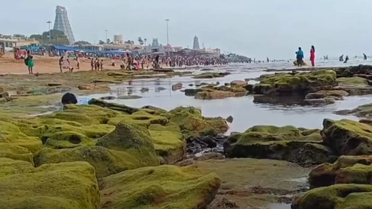  The sea has deepened to 100 feet - devotees unaware of the danger Photograph: (thoothukudi) 