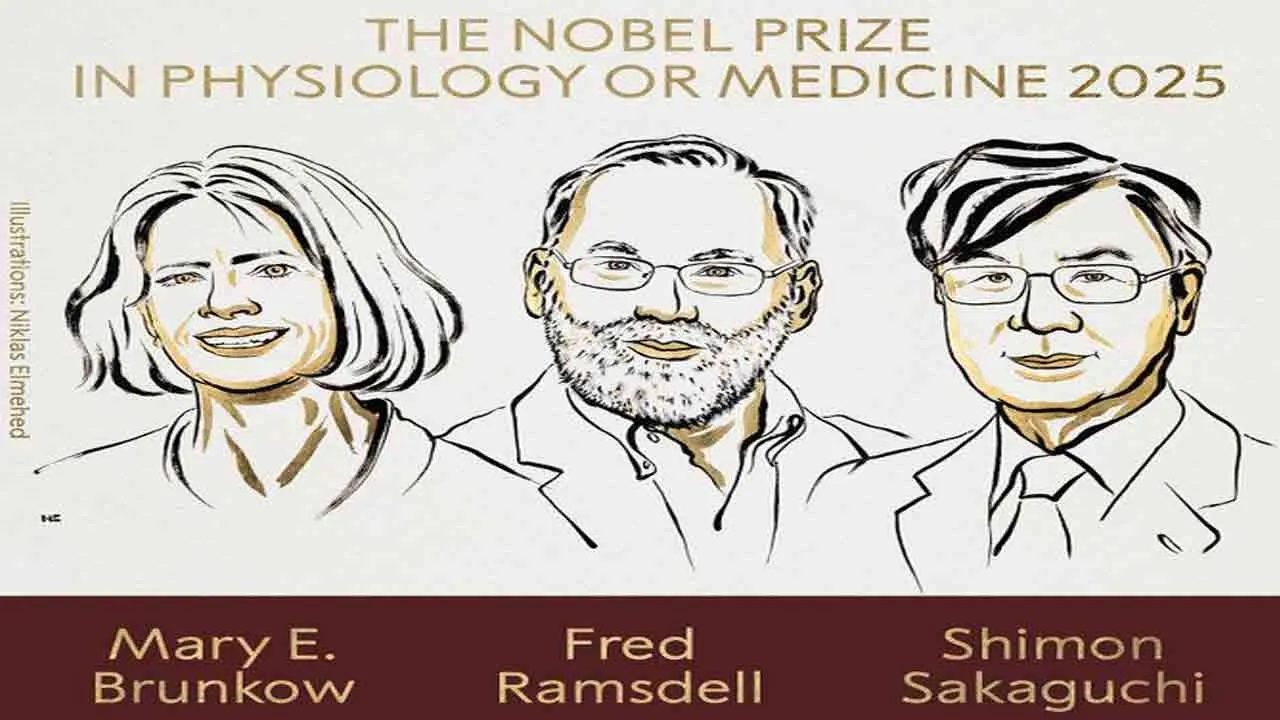  Nobel Prize 2025 announced Medicine for 3 people 