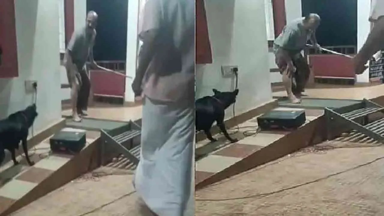  Stray dog ​​bites theatre actor in drama and People thought it was a story 