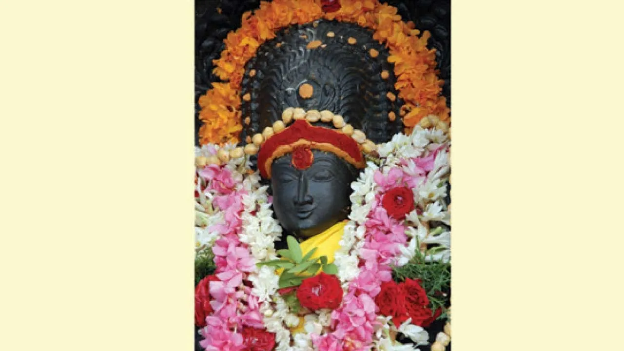  குரு தசையில் என்ன நடக்கும்?
