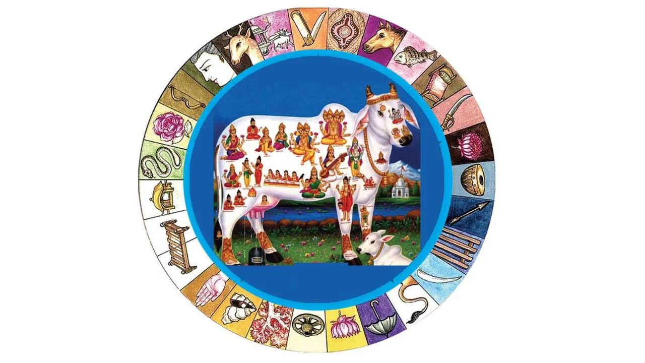  நலம் தரும் நட்சத்திரம் 26