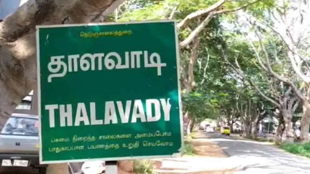  மூன்று சிறுத்தைகளின் அட்டகாசம்; பொதுமக்கள் வைத்த கோரிக்கை!