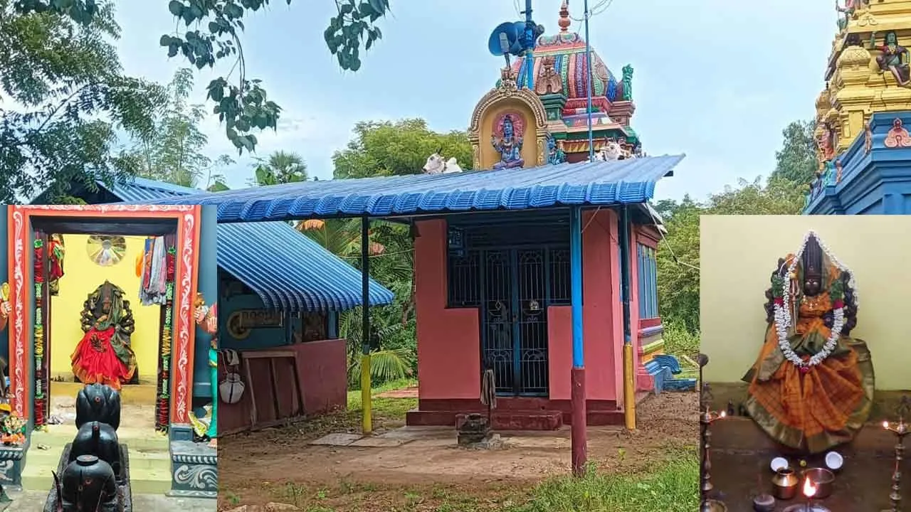  The gold jewelry lying around Sami's neck was broken and stolen! - The incident continued the next day Photograph: (pudukottai) 