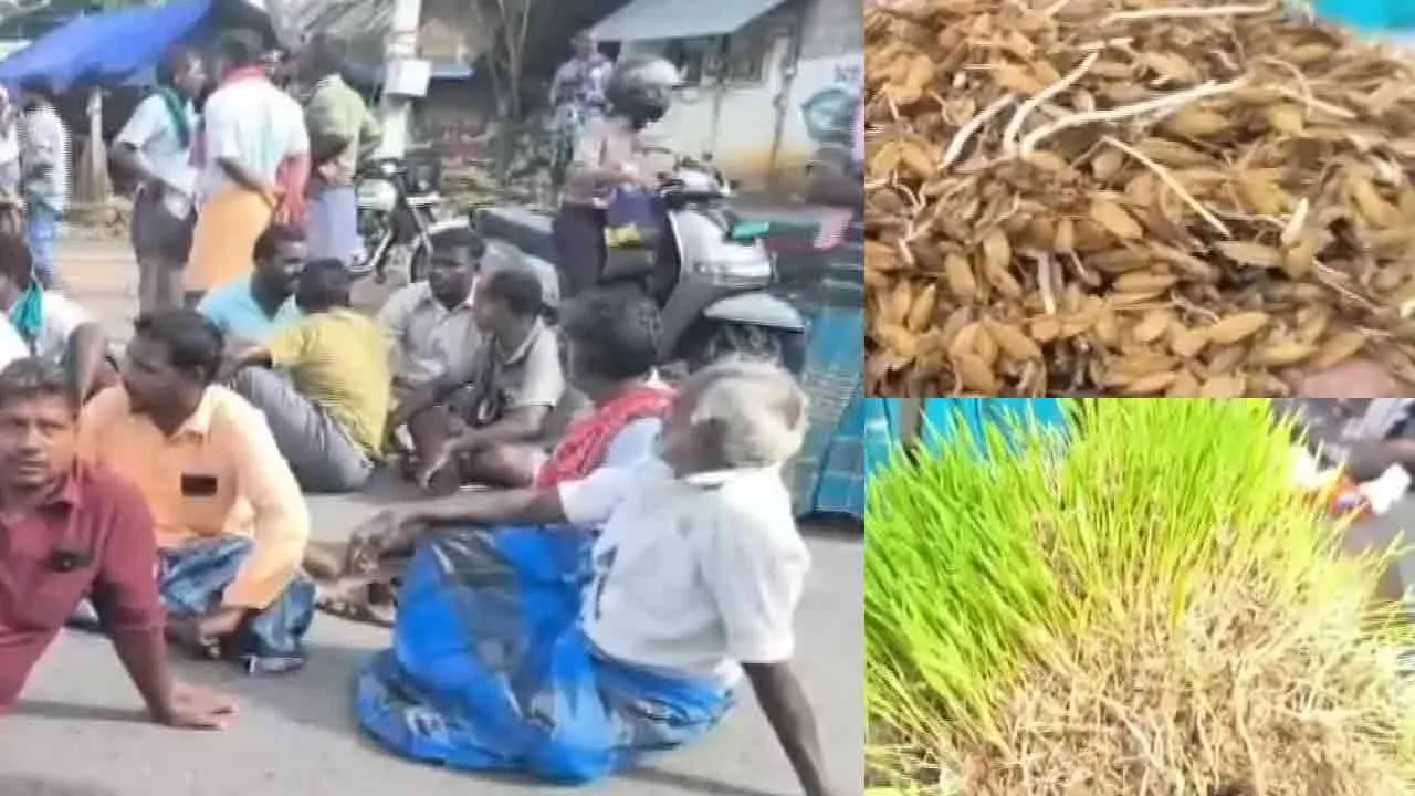  “நெல்மணிகளைக் கொள்முதல் செய்ய வேண்டும்” - விவசாயிகள் சாலை மறியல் போராட்டம்!