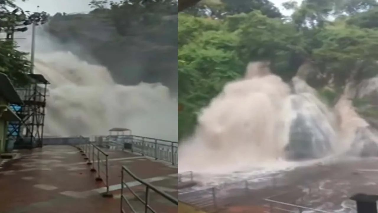  Heavy rain in Tenkasi - Courtallam is in mourning Photograph: (thenkasi) 