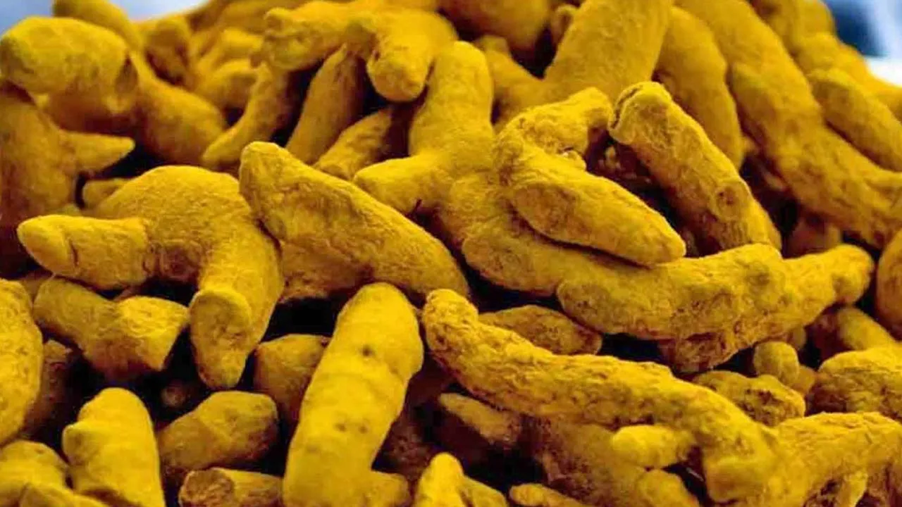  Diwali demand- turmeric price hike Photograph: (erode) 