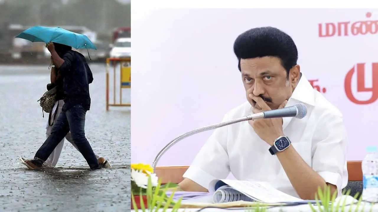  'Government is ready to deal with any heavy rain' - Chief Minister's interview after the study Photograph: (mkstalin) 