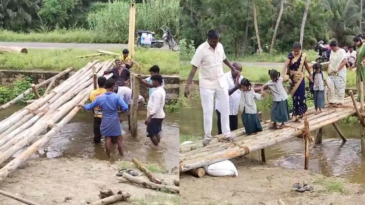  Unnoticed MLA - Wooden bridge built by the people at their own expense Photograph: (vellore) 