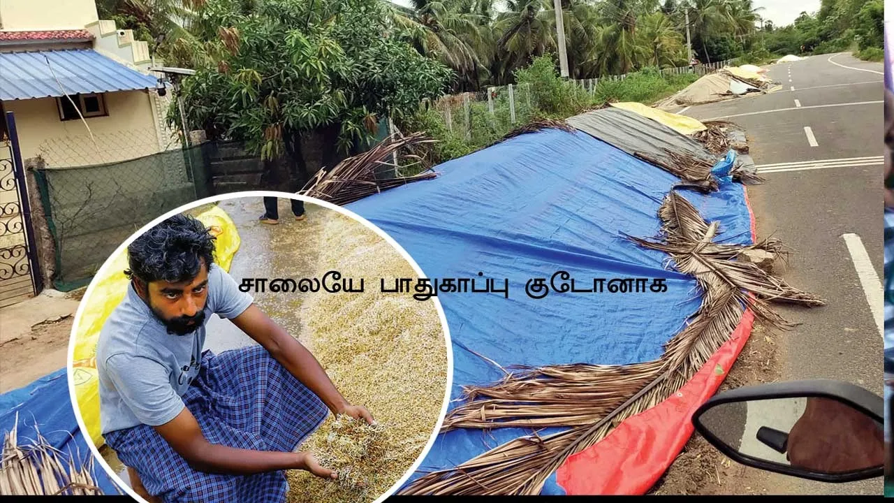  மழையில் முளைக்கும் நெல் மூட்டைகள்! -கண்ணீரில் விவசாயிகள்!