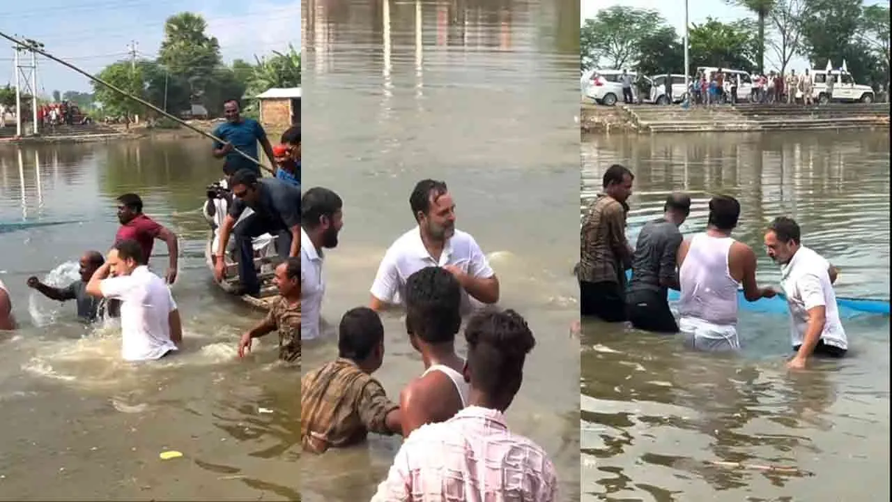 Rahul Gandhi catches fish while swimming in a pond at Bihar elections 