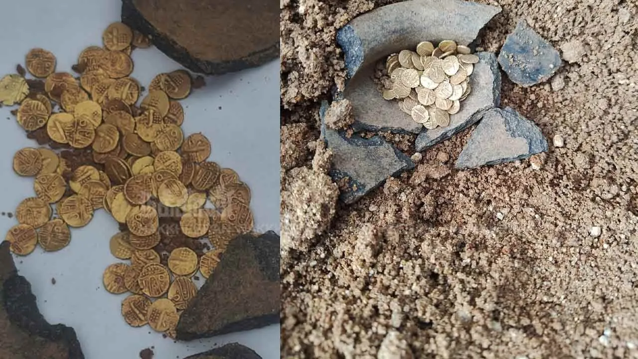  Golden treasure found on Jawadu Hill Photograph: (thiruvannamalai) 