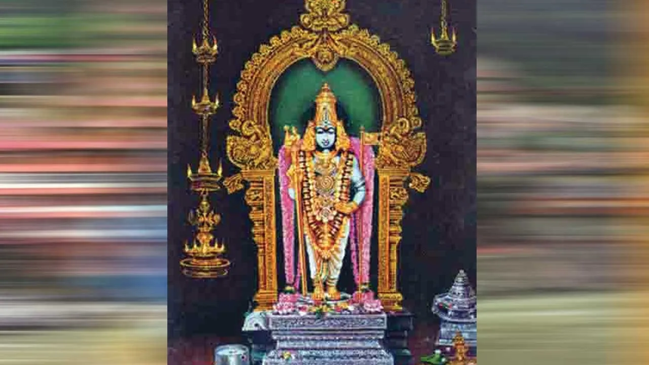  தண்டாயுதபாணி அருளால் உயர்வுகள் பெற்றோம்!