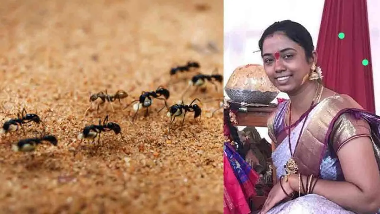  ‘ஸ்ரீ... மன்னித்து விடு, எறும்புகளுடன் வாழமுடியாது...’ - பெண்ணின் விபரீத முடிவு!