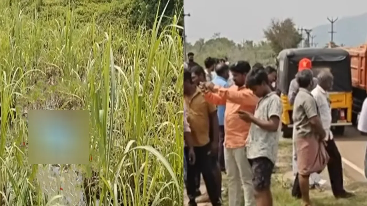  Woman found  sugarcane forest - Shocking investigation Photograph: (police) 