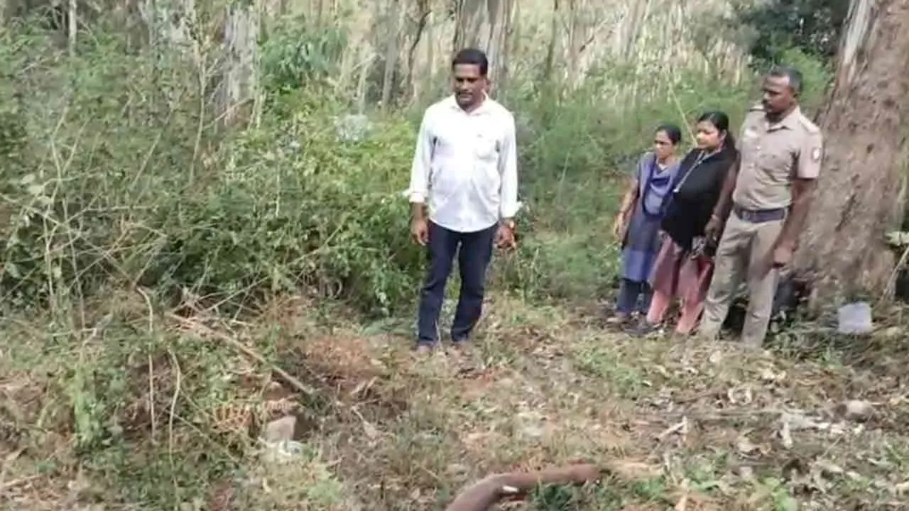  சிறுவன் விவகாரத்தில் நீடிக்கும் மர்மம்... தோட்டத்திற்குள் தோண்டிய போலீஸ் - பீதியில் மக்கள்!