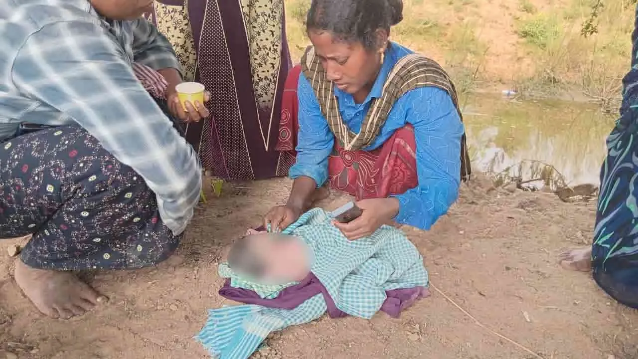  A baby lying in a bush even the umbilical cord has not been cut in pudukkottai 