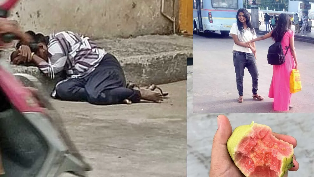  கொய்யா கஞ்சா! சீரழியும் பெண்கள்! காவல்துறை விழிக்குமா?