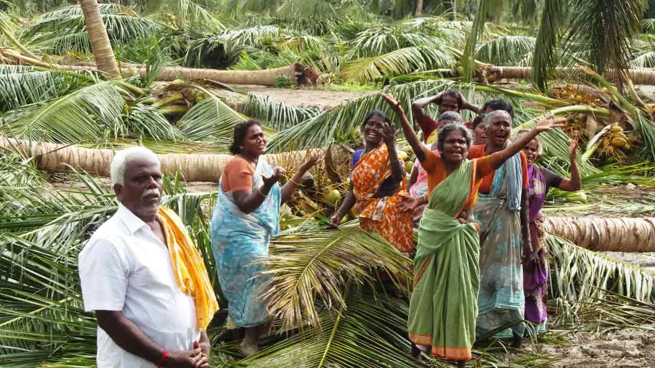  Commemoration of Cyclone Gaja, which destroyed millions of trees and wreaked havoc 