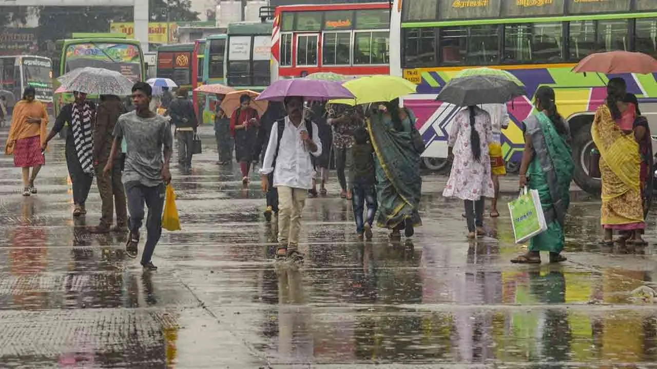  Rains have started again - School holiday update released Photograph: (rain) 