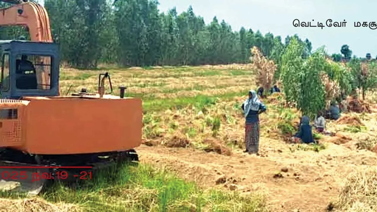  விவசாய நிலங்களில் சிப்காட்!  கொந்தளிக்கும் கடலூர் விவசாயிகள்!