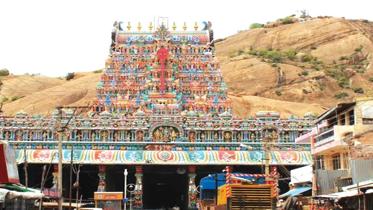  திருப்பரங்குன்றத்தில் யாருக்கு சீட்டு?