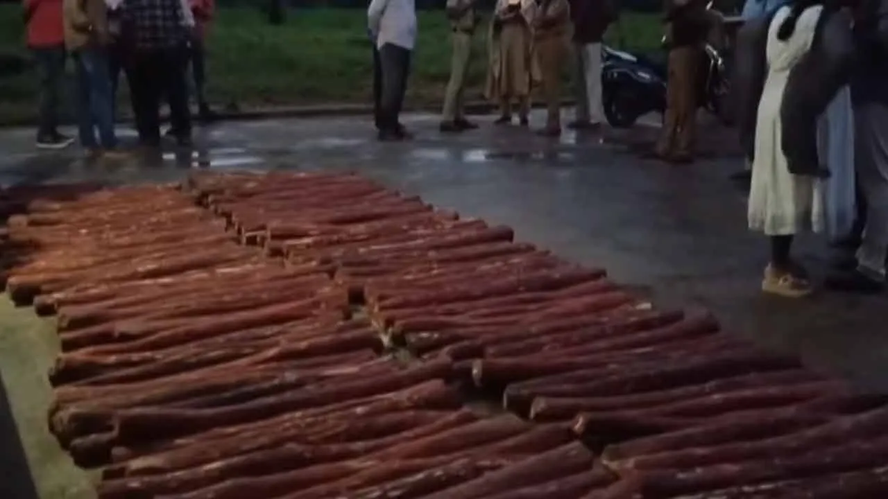  2 tons of redwood logs found in AIADMK leader's house 